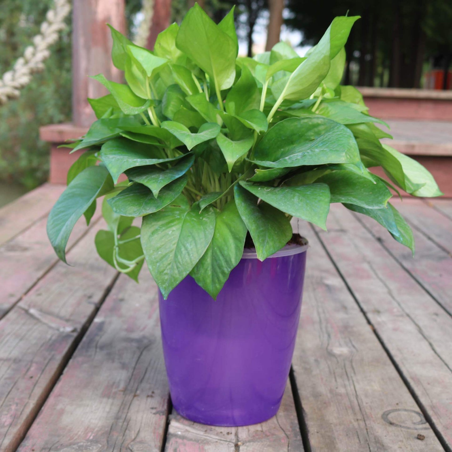 Strongwell Nordic Hydroponics Flower Pot
