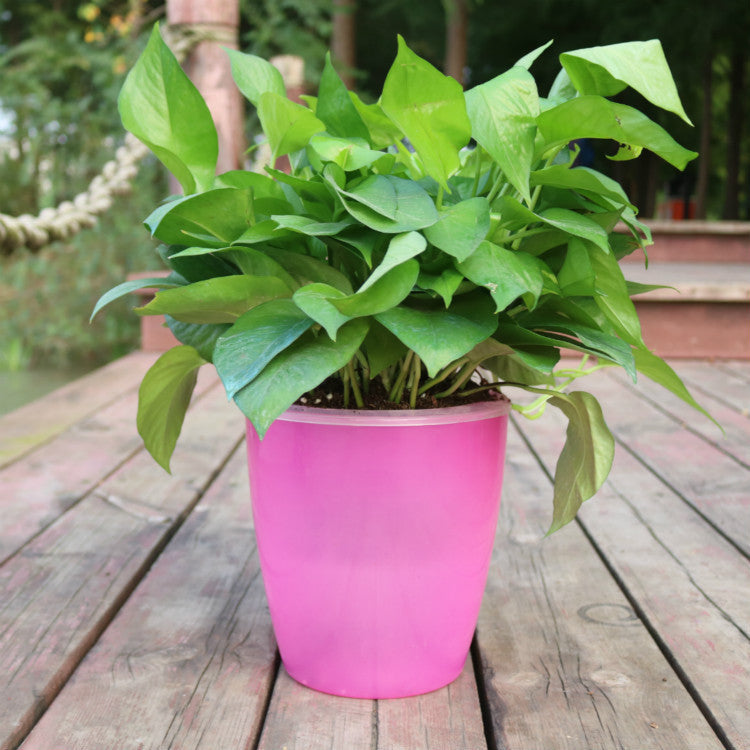 Strongwell Nordic Hydroponics Flower Pot