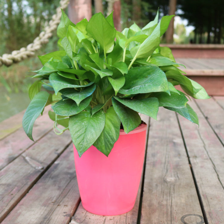 Strongwell Nordic Hydroponics Flower Pot