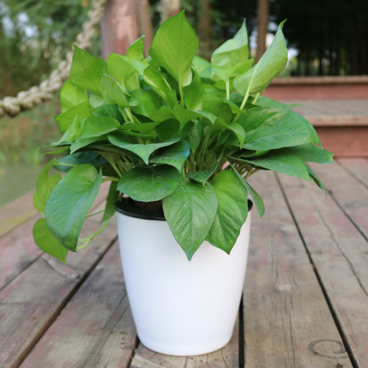 Strongwell Nordic Hydroponics Flower Pot