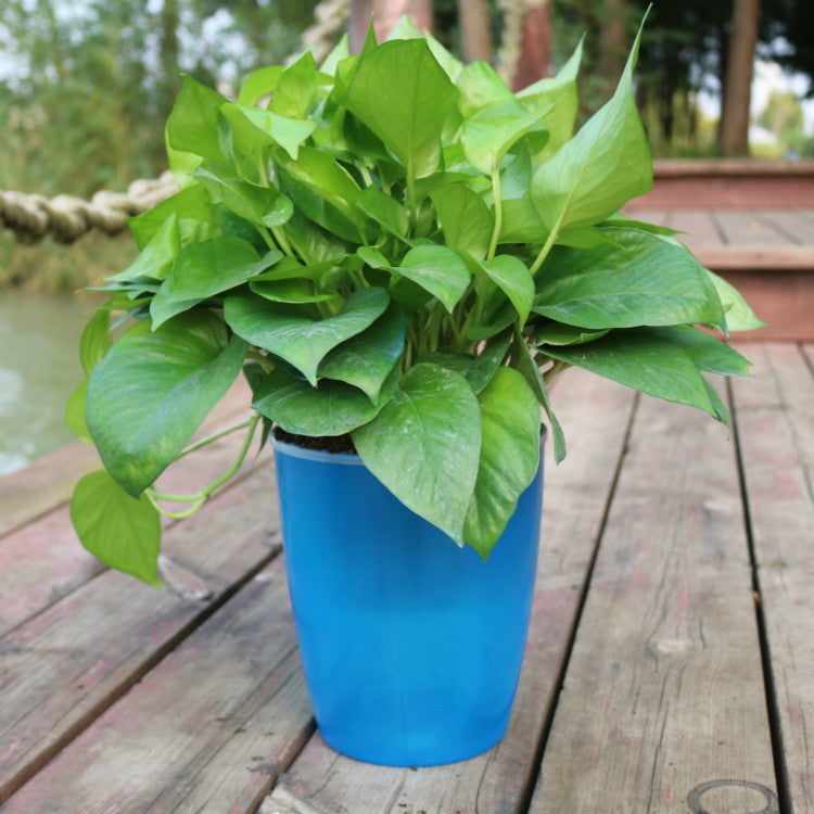 Strongwell Nordic Hydroponics Flower Pot