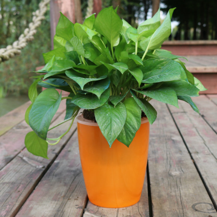 Strongwell Nordic Hydroponics Flower Pot